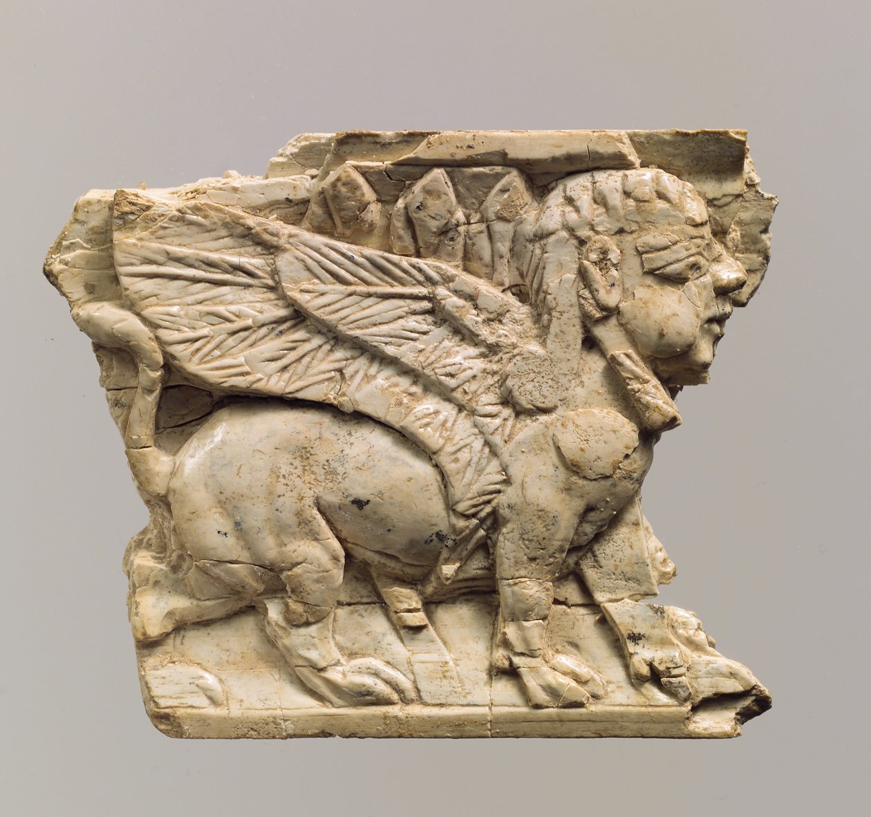 Placa de móveis esculpida em relevo com esfinge, séculos c.9-8 aC (marfim) de Neo Assyrian