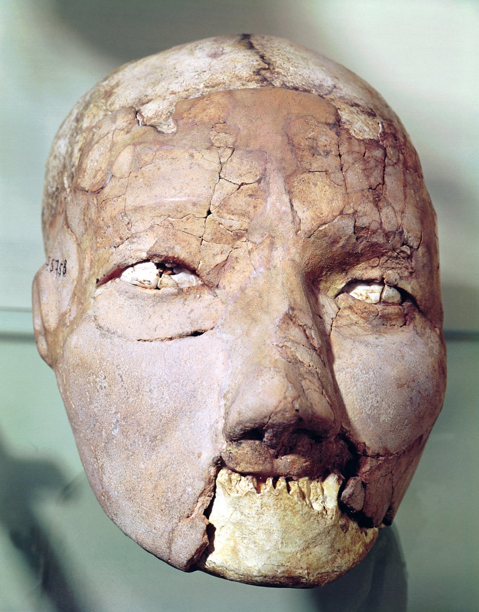 Crânio, de Jericó, 7000-6000 aC (gesso, ossos e conchas) de Neolithic
