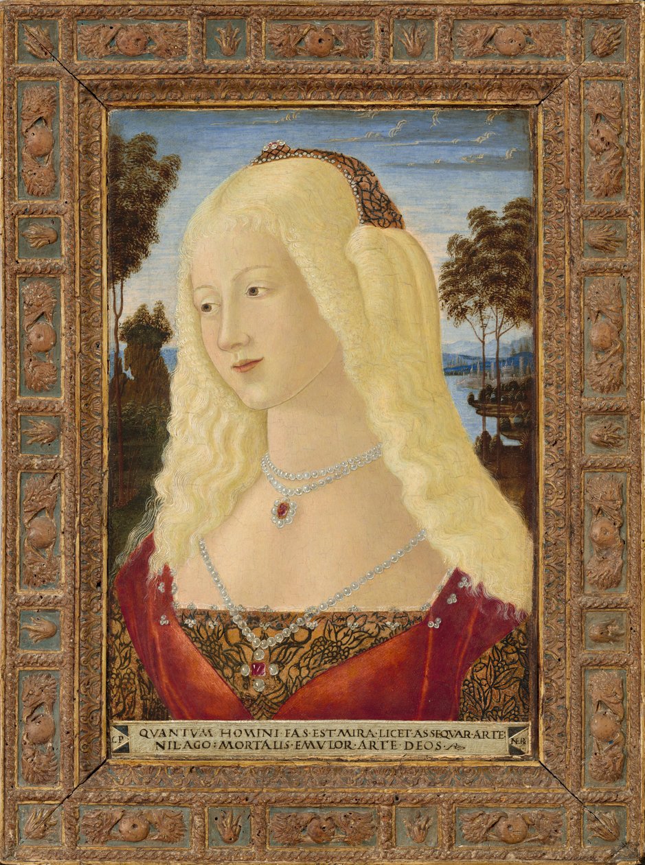 Retrato de uma senhora de Neroccio de