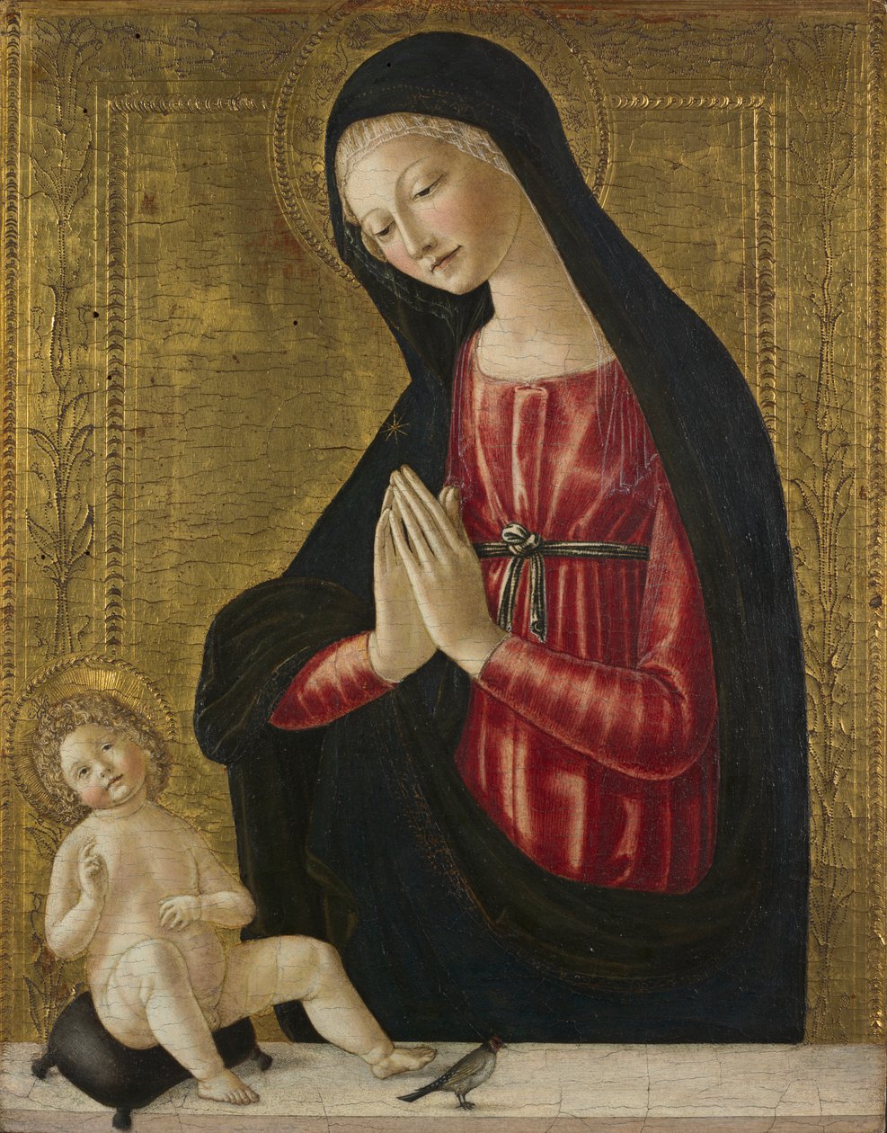 Virgem e Menino com Pintassilgo de Neroccio de