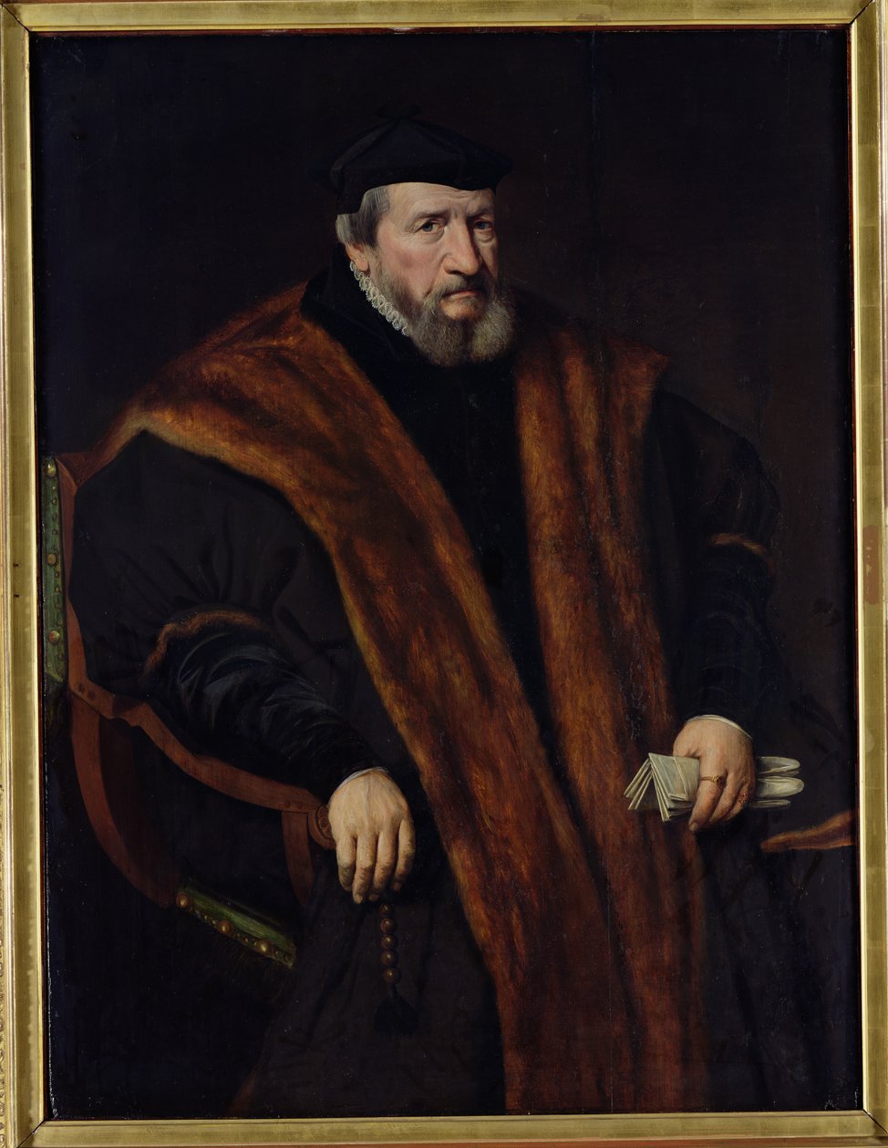 Retrato de um homem, 1564 de Netherlandish School
