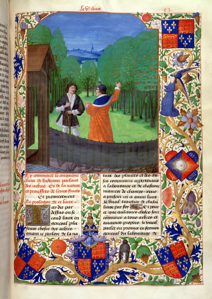 Roy 14 E VI f.110 Autor discursa a um jardineiro em um pomar, de 