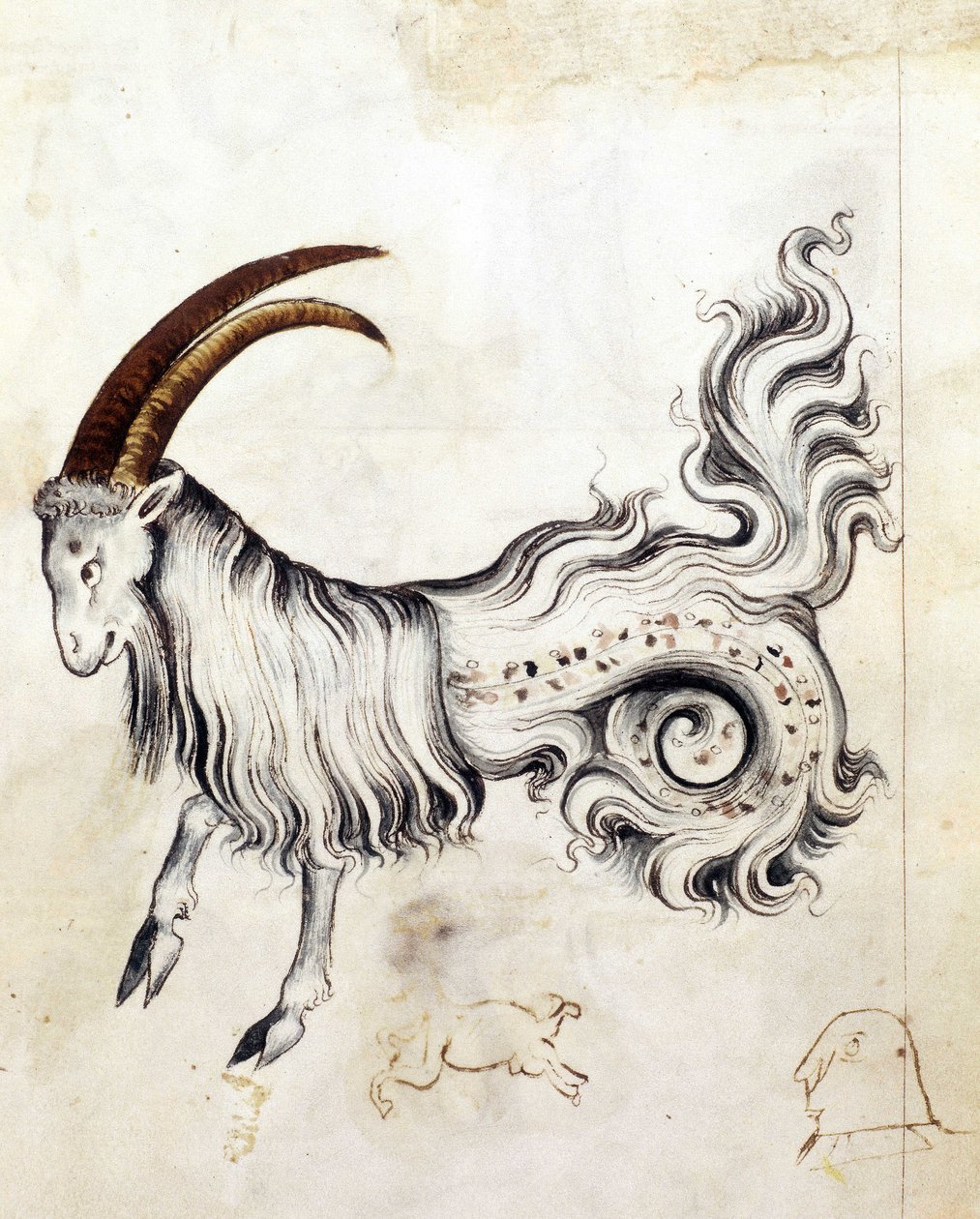 Sloane 3983, f.3v O signo zodiacal Capricórnio (vellum) de Netherlandish School