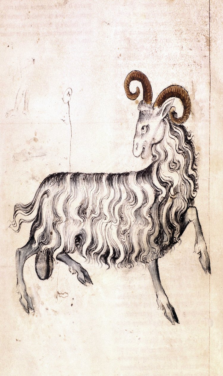 Sloane 3983 f3v O signo do zodíaco Capricórnio (vellum) de Netherlandish School