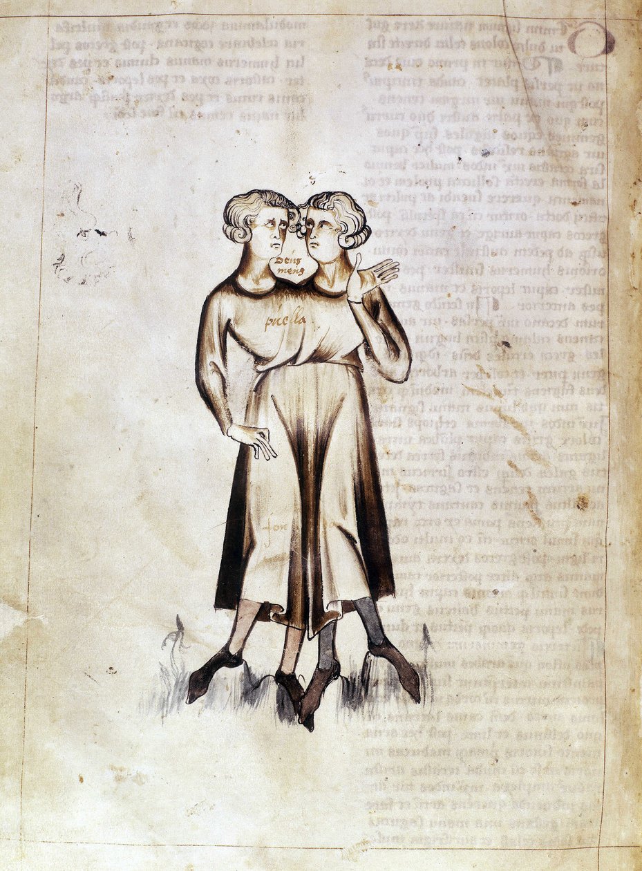 Sloane 3983 f.8v Desenho de Gêmeos, de uma tradução de um tratado astrológico persa de Jafar ibn Muhammad (vellum) de Netherlandish School