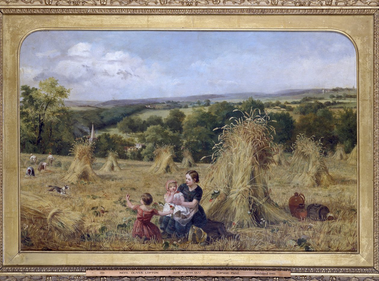 O campo da colheita, 1857 - 1858 de Nevil Oliver Lupton