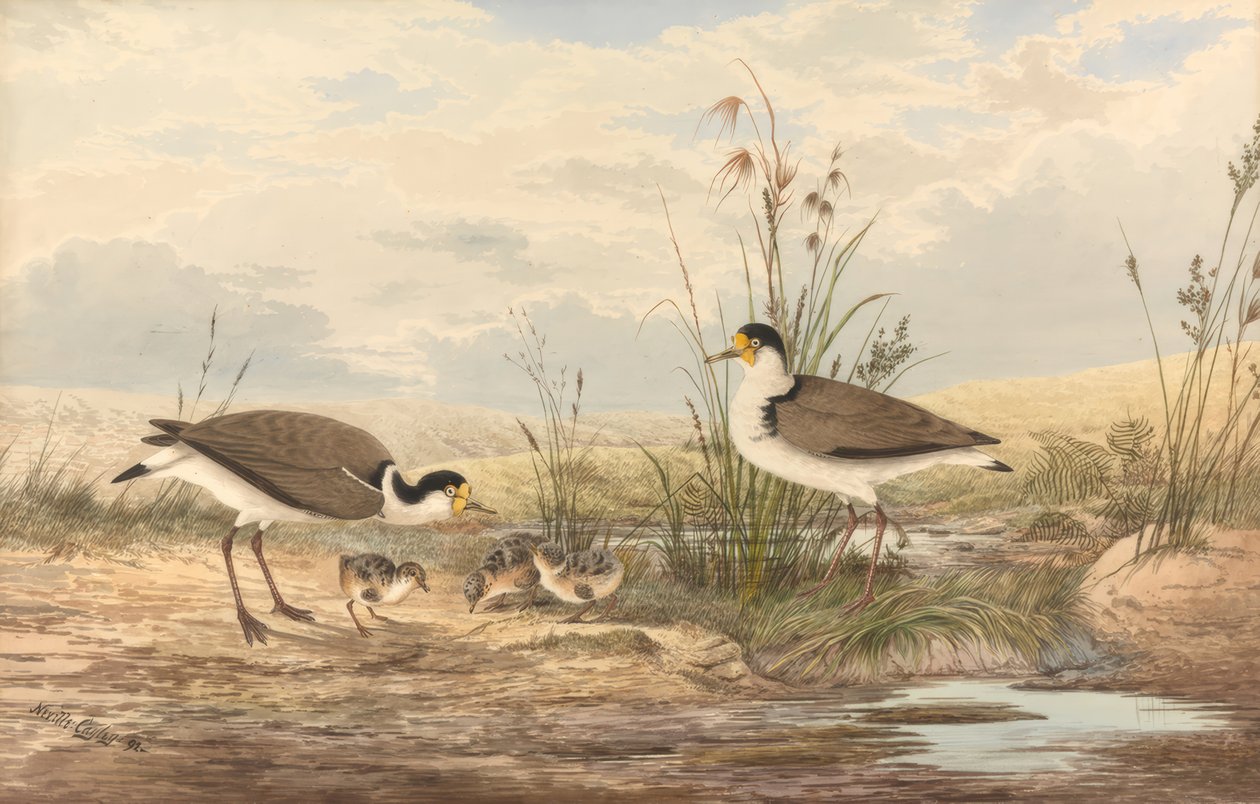 paisagem de Neville Henry Cayley
