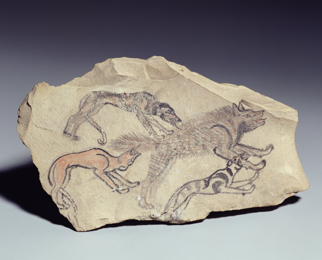 Ostracon representando um cachorro perseguindo uma hiena (calcário) de New Kingdom Egyptian