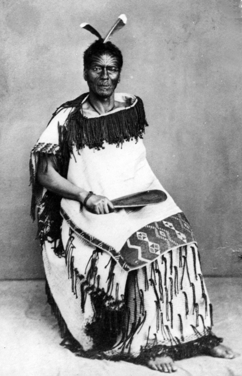 Retrato de um homem maori, antes de 1880 de New Zealand Photographer