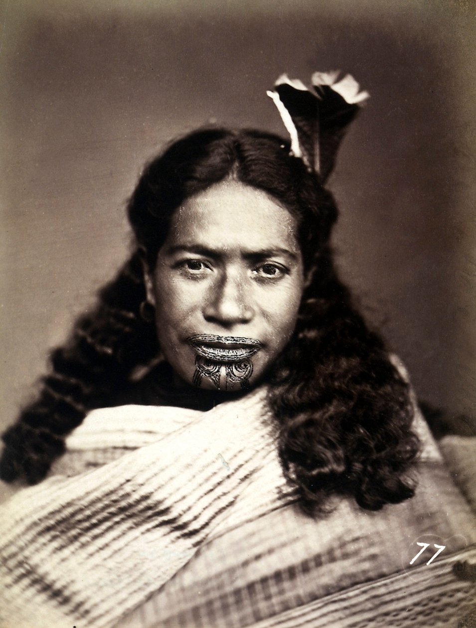Retrato de um maori com um rosto tatuado, c.1886-88 de New Zealand Photographer
