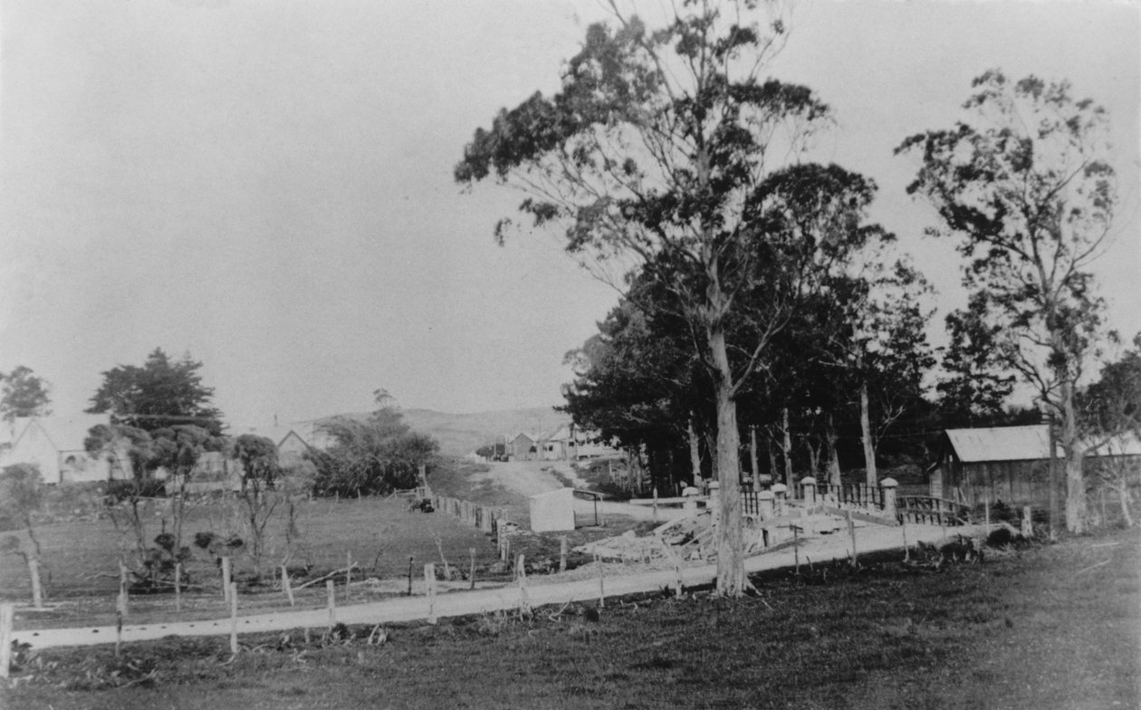 Ponte, sobre, Waihoihoi, rio, direção, waipu, township, tarde, 19o século de New Zealander Photographer