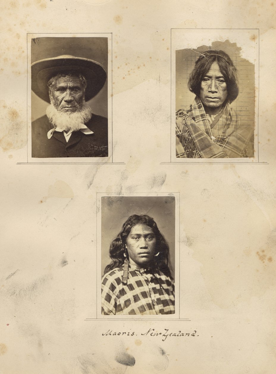 Maoris, Nova Zelândia, c.1865 (albumen print) de New Zealander Photographer