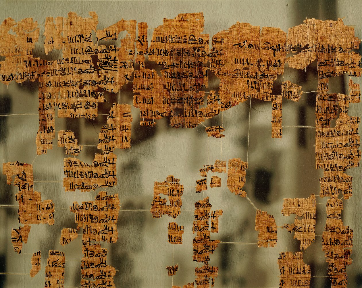 Fragmentos do Papiro do Rei, ou do Cânon Real (papiro) de New Kingdom Egyptian