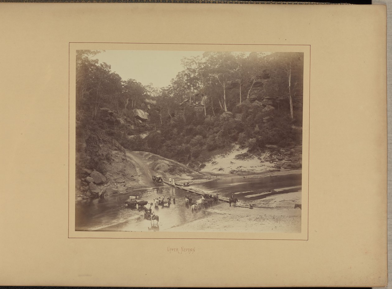 Alto Nepean de New South Wales Government Printing Office