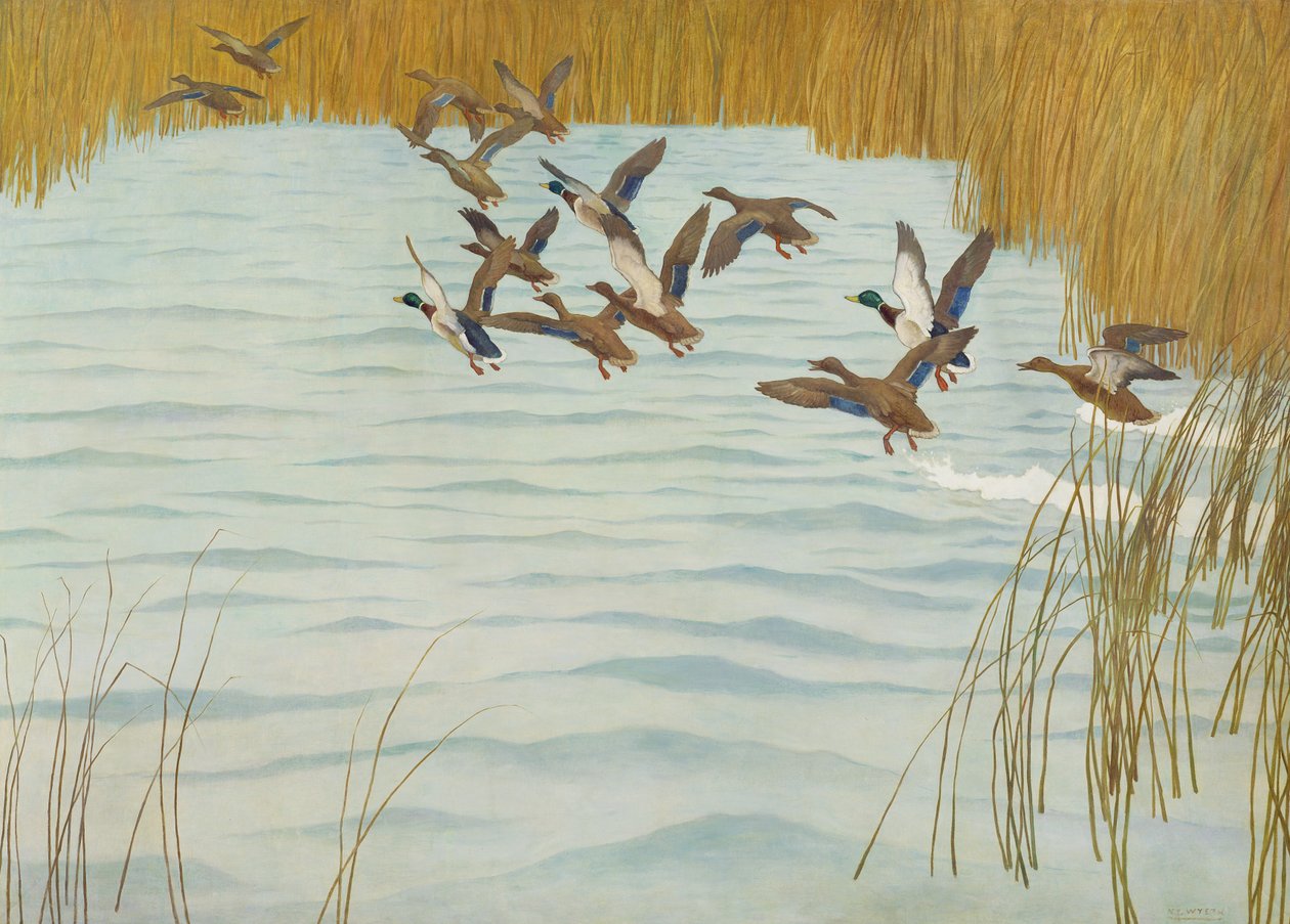 Patos-reais no outono de 1941 de Newell Convers Wyeth