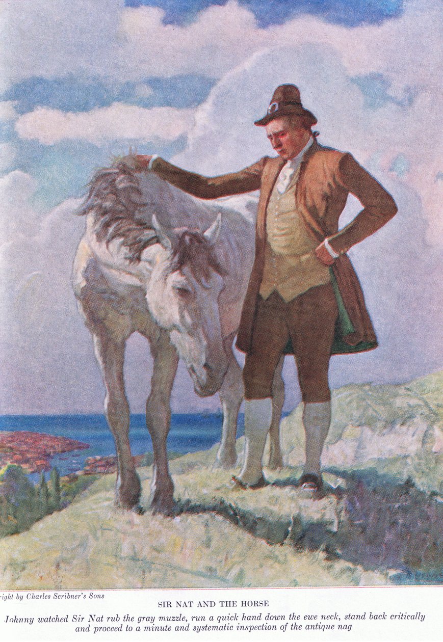 Sir Nat e o cavalo: Johnny observou Sir Nat esfregar o focinho cinzento; recuar e proceder a uma inspeção minuciosa e sistemática, 1928 de Newell Convers Wyeth