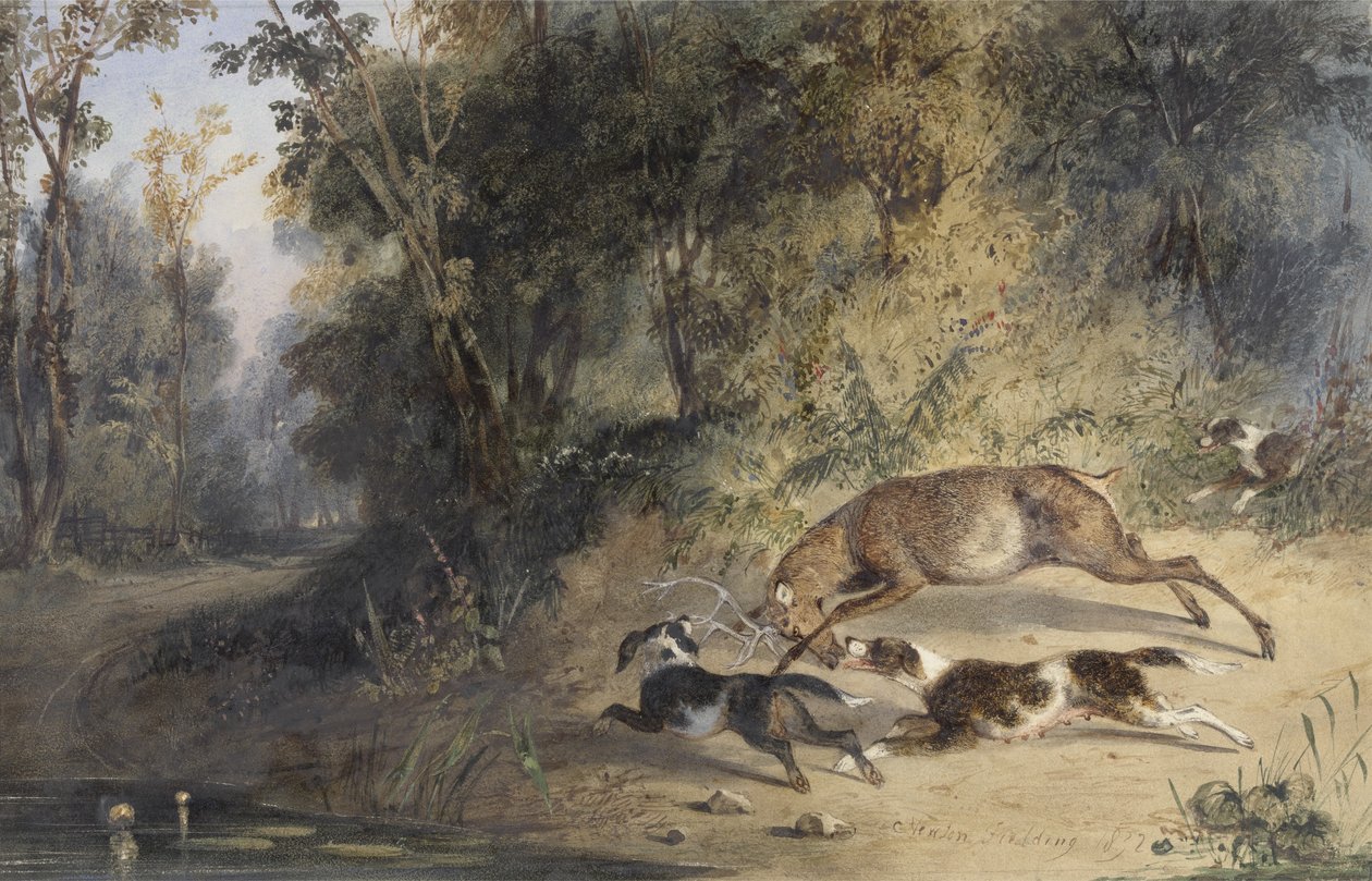 Deerhound e cadela Cornering um veado na borda de uma piscina da floresta (wc, goma arábica e bodycolour no papel) de Newton Fielding