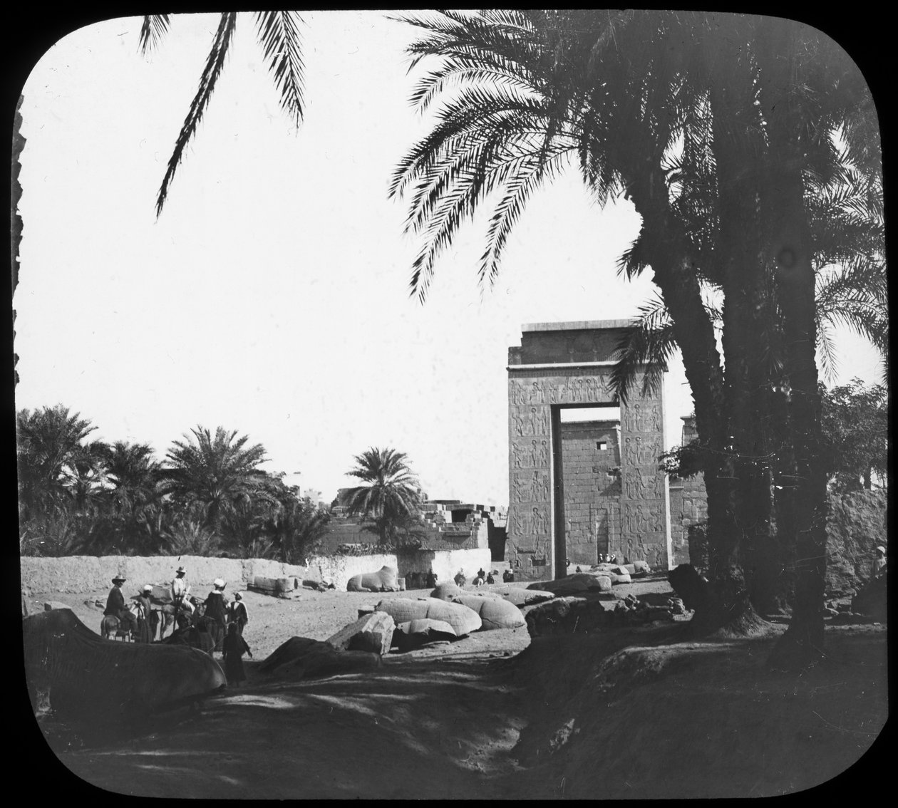 Avenida das Esfinges, Karnak, Egito, c1890 de Newton and Co