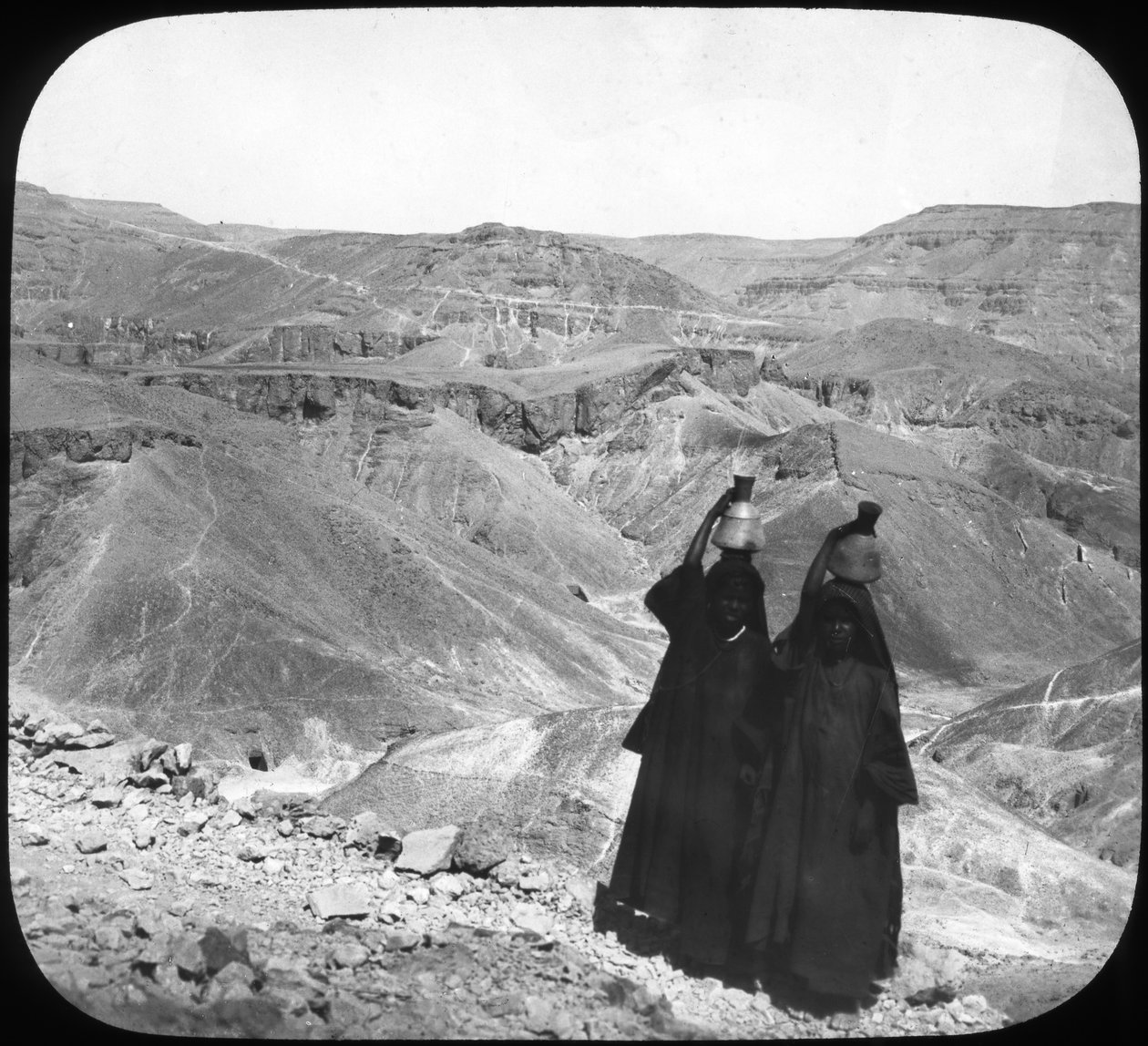 Vale dos Reis, Luxor, Egito, c1890 de Newton and Co