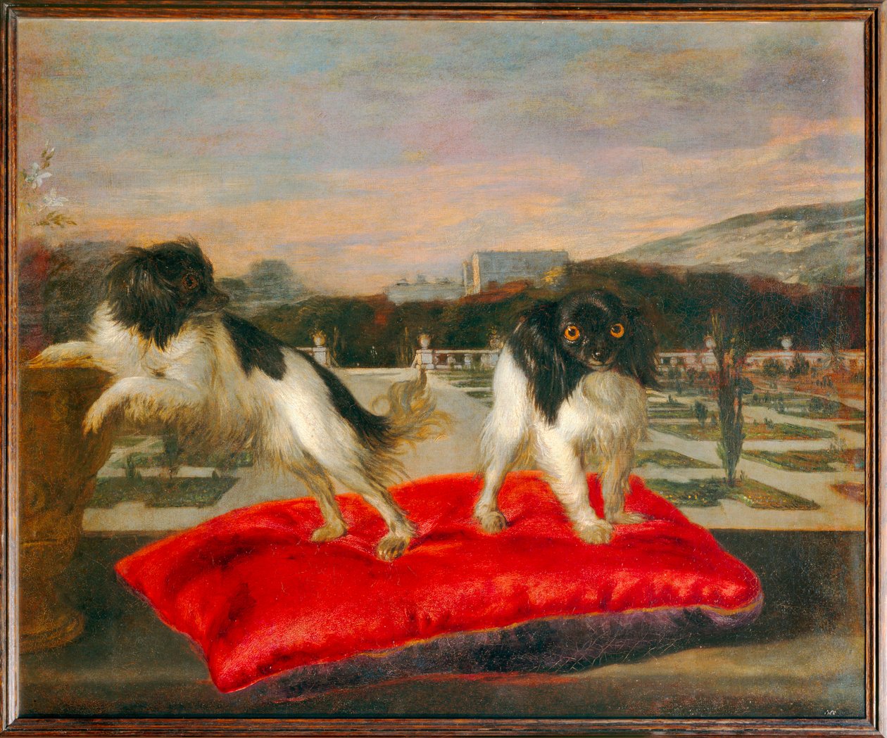 Dois cães pequenos no terraço de um jardim italiano - Dois cães pequenos no terraço de um jardim italiano ... de Nicasius (1620 78) Bernaerts