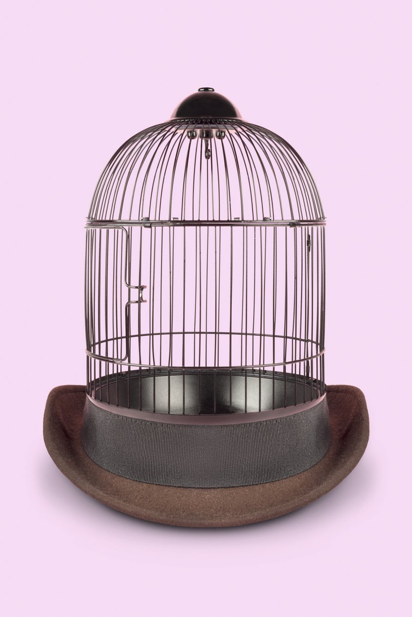 Mental Cage, 2020 (foto) de Niccolò Fioriti