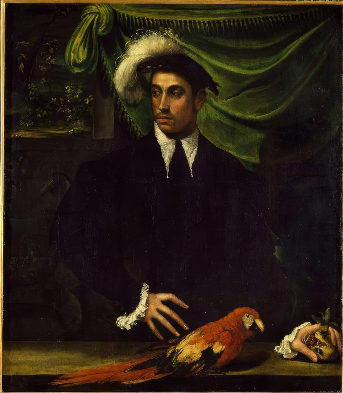 Retrato de um jovem com papagaio de Niccolò dell Abbate