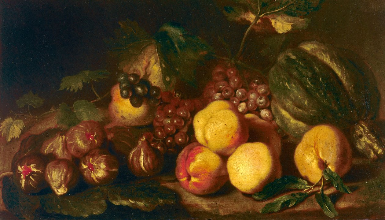 Ainda-vida de frutas de Niccolo Cassana