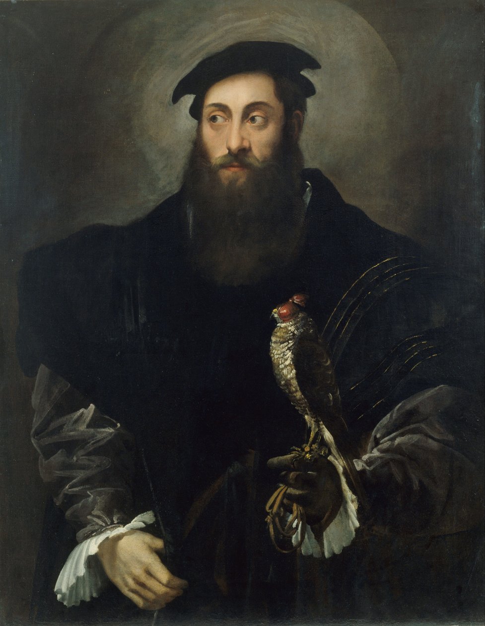 Retrato, de, um, cavalheiro, com, um, falcão de Niccolo dellAbbate
