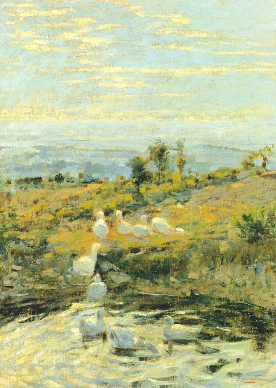 Patos de manhã, ca 1892, de Niccolo Cannicci (1846-1906). Óleo sobre tela, 57,5x40,5 cm. de Niccolo Cannicci