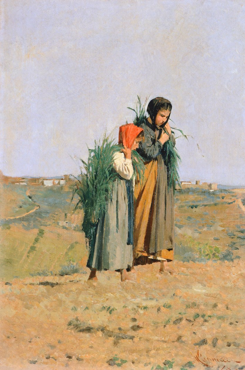 Erbaiole de Niccolo Cannicci