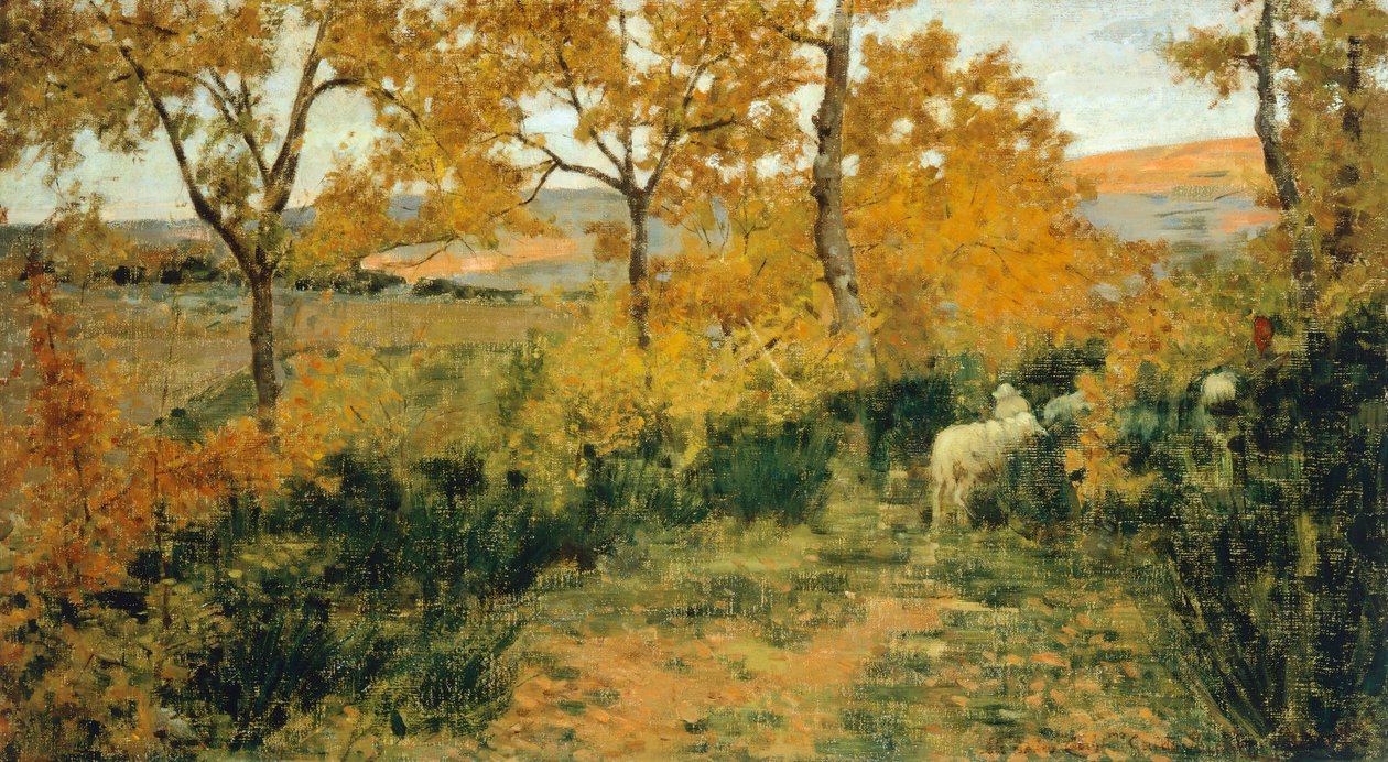 Floresta Dourada em Montemiccioli de Niccolo Cannicci