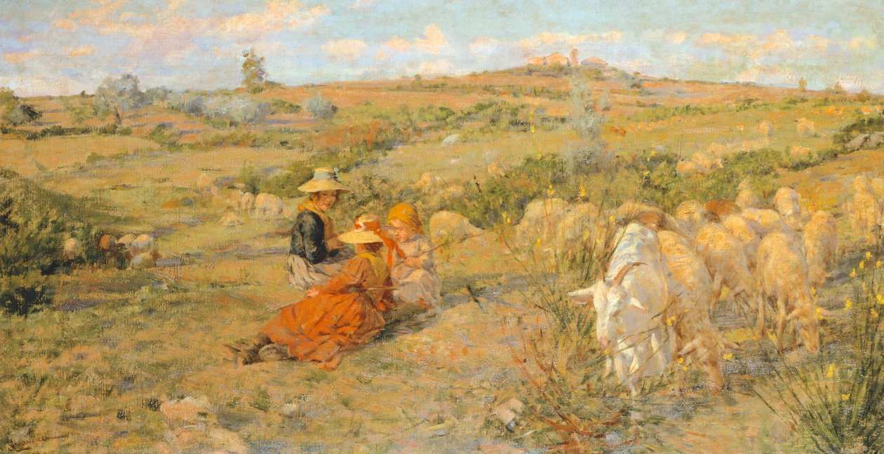 Flores de montanha de Niccolo Cannicci