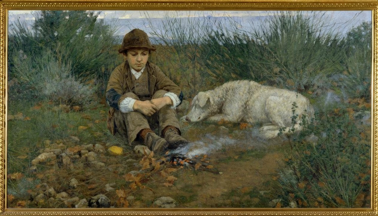 No bosque de Niccolo Cannicci