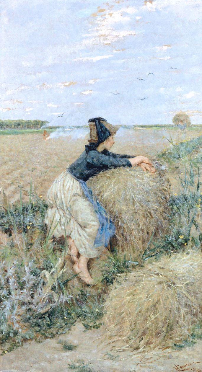 Erva de trigo em Tombolo de Niccolo Cannicci
