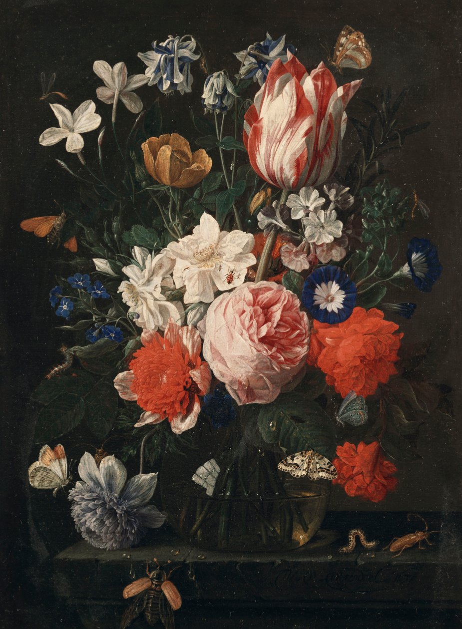 Uma rosa, uma tulipa, glória da manhã e outras flores em um vaso de vidro em uma borda de pedra, 1671 de Nicholaes van Verendael