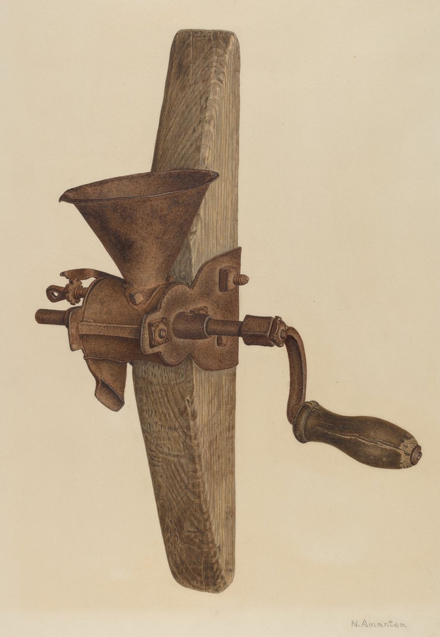 Moedora de Nicholas Amantea