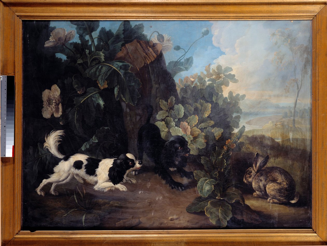 Two Dogs and a Rabbit Painting by Nicolas Desportes dit le Nepheu (1718-1787) 1757 Sun. 0,97x1,3 m Paris, Musee du Louvre de Nicholas Desportes