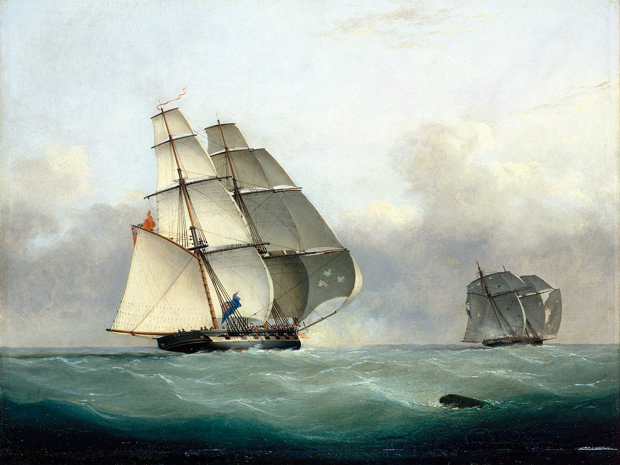 A captura do navio negreiro "Gabriel" pelo HMS "Acorn", 6 de julho de 1841 de Nicholas Matthews Condy
