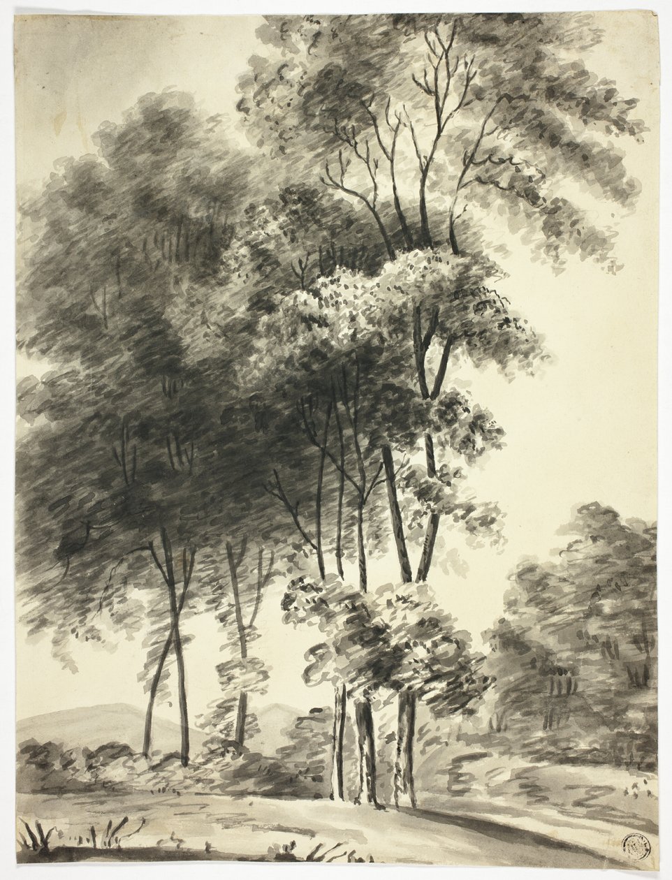 Árvores com montanhas à distância de Nicholas Pocock