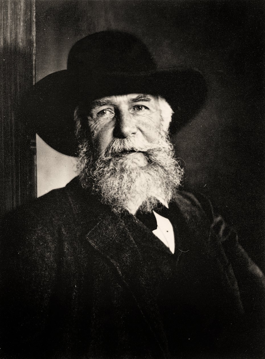 Retrato de Ernst Haeckel, c.1910 (foto) de Nicola Perscheid