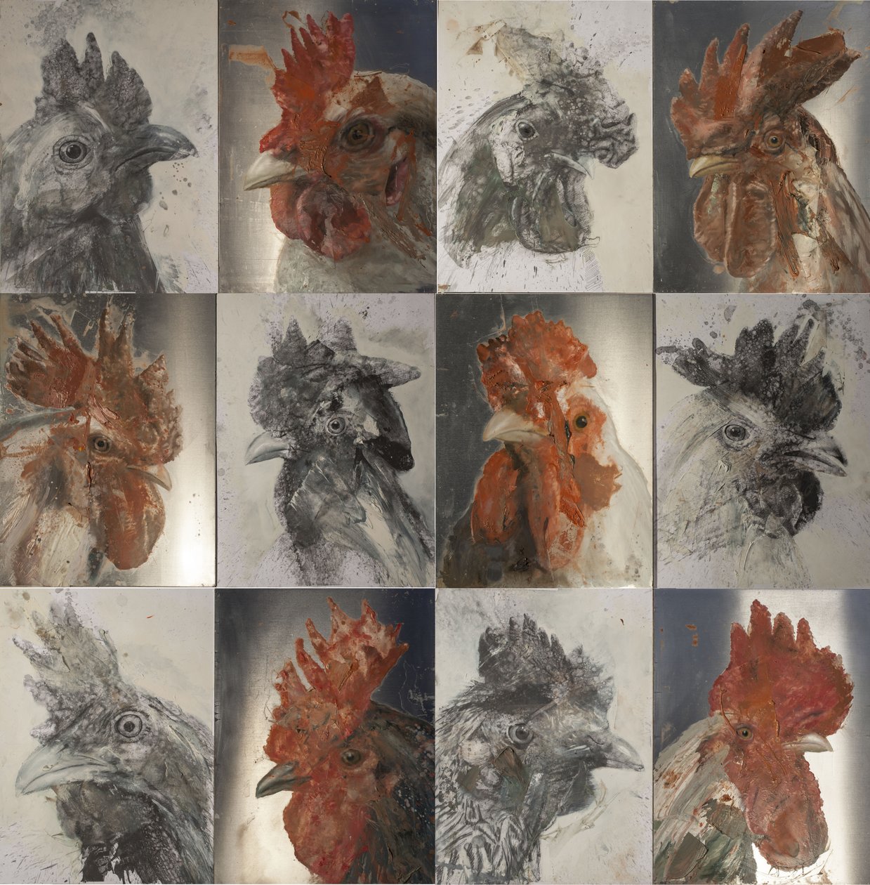 Galos de grelha, 2019 (óleo sobre alumínio e grafite sobre papel) de Nicola Pucci