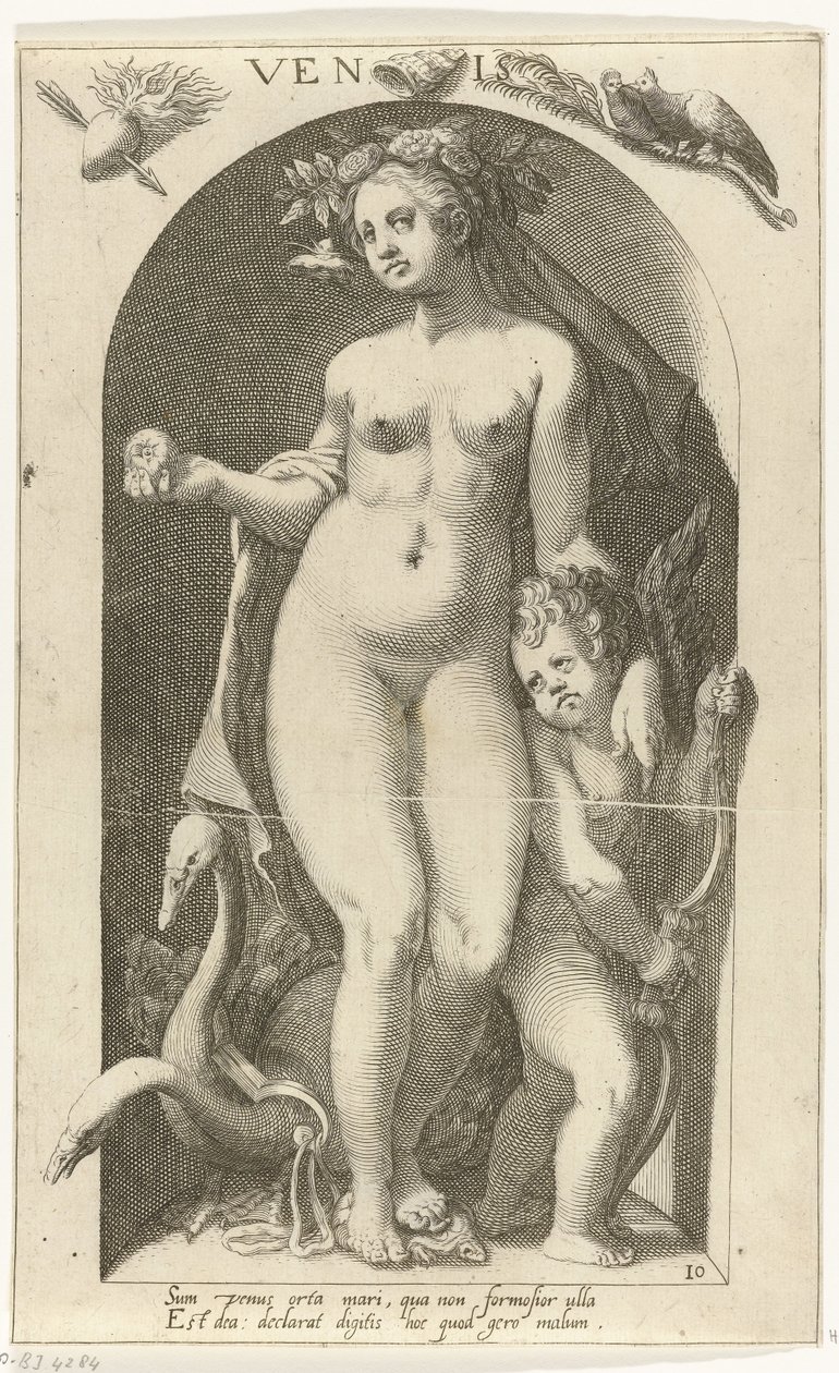 Vênus Venis (título no objeto) Deuses Antigos (título da série) de Nicolaas Braeu