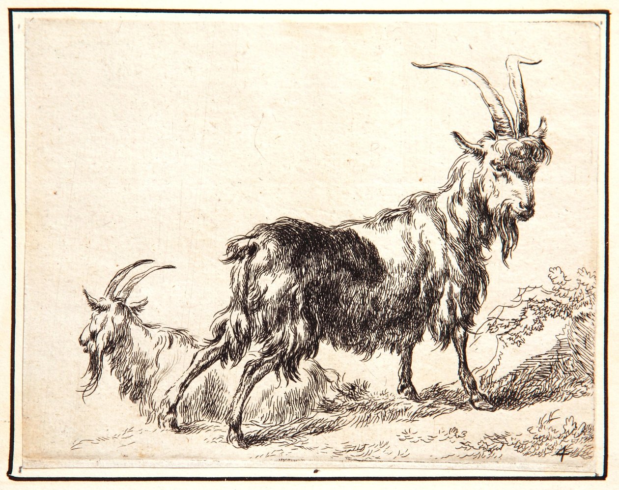 Cabras de Nicolaes Pietersz. Berchem