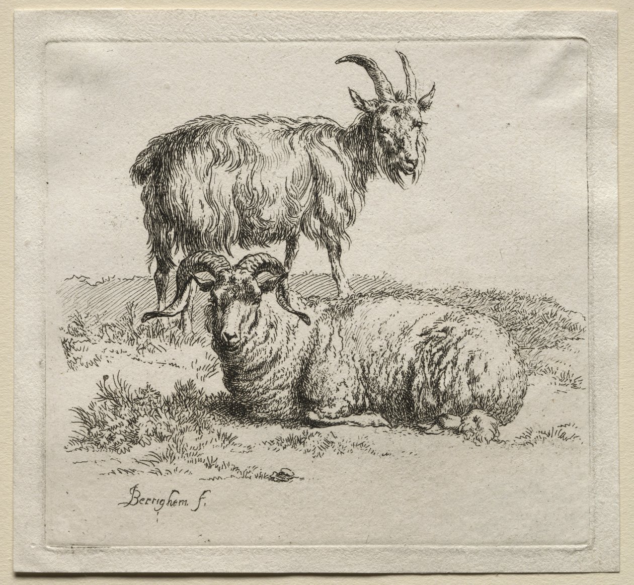 Animalia: Carneiro e Cabra de Nicolaes Berchem