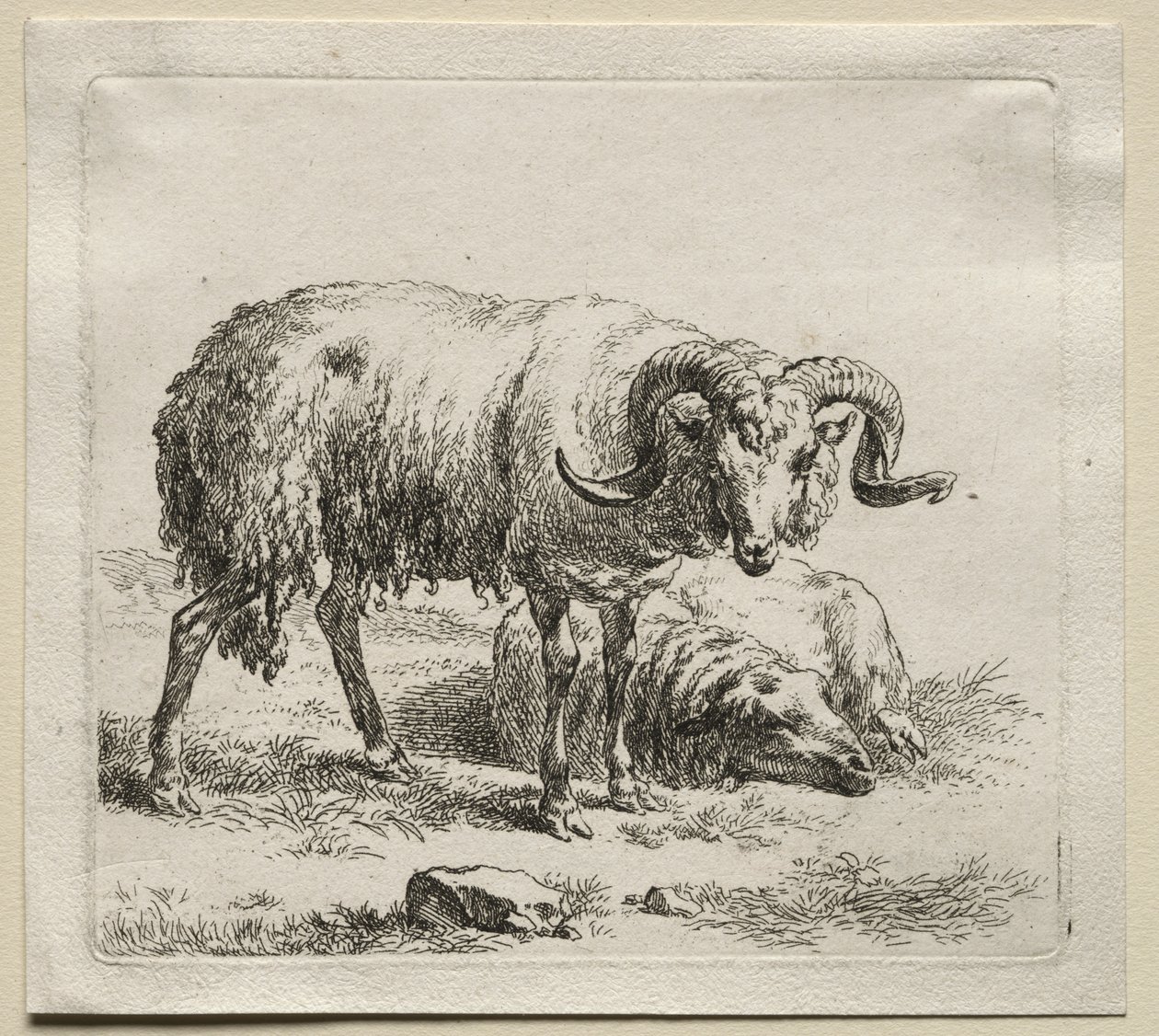 Animalia: Carneiro e Ovelha de Nicolaes Berchem