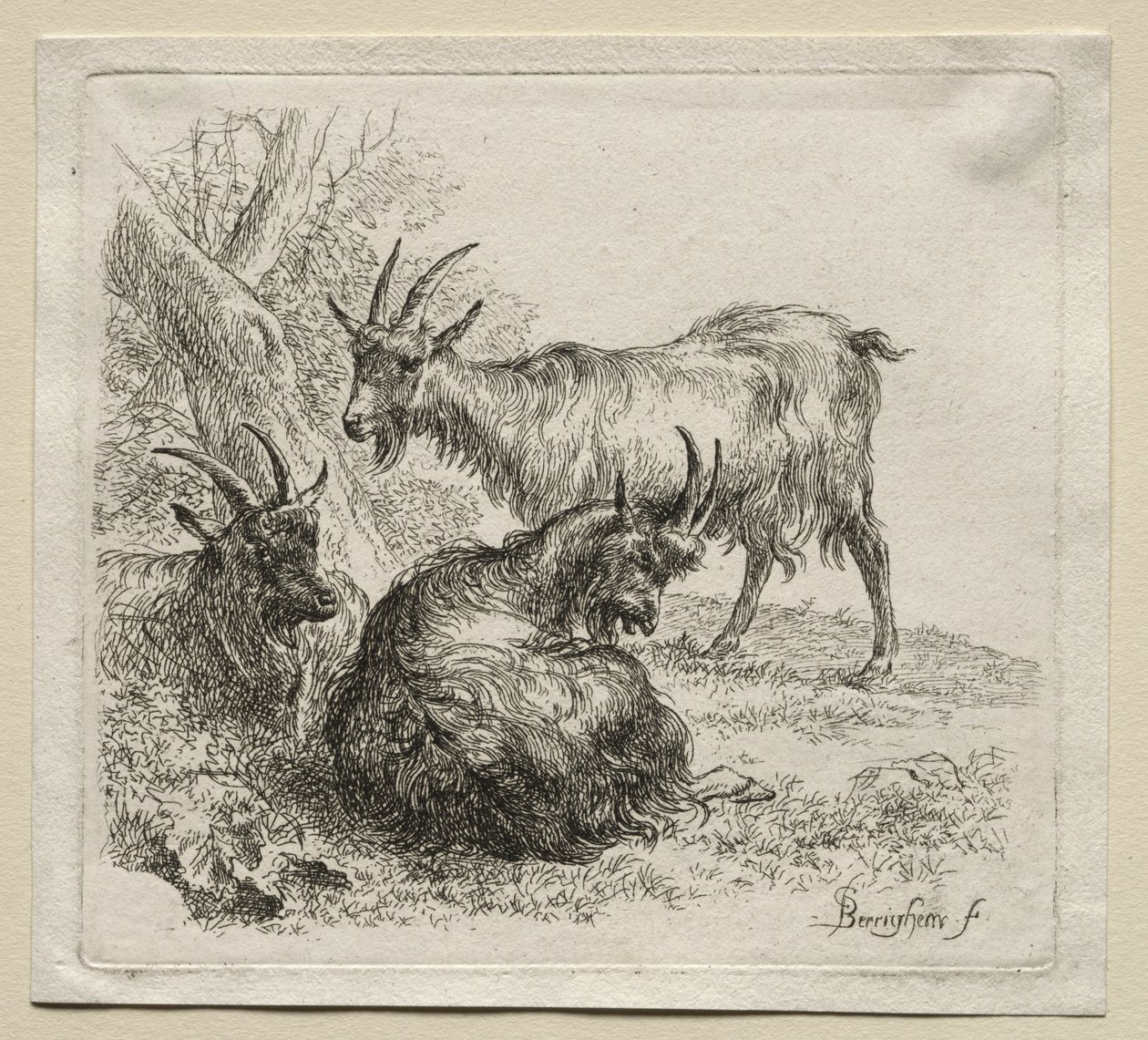Animalia: Três cabras de Nicolaes Berchem