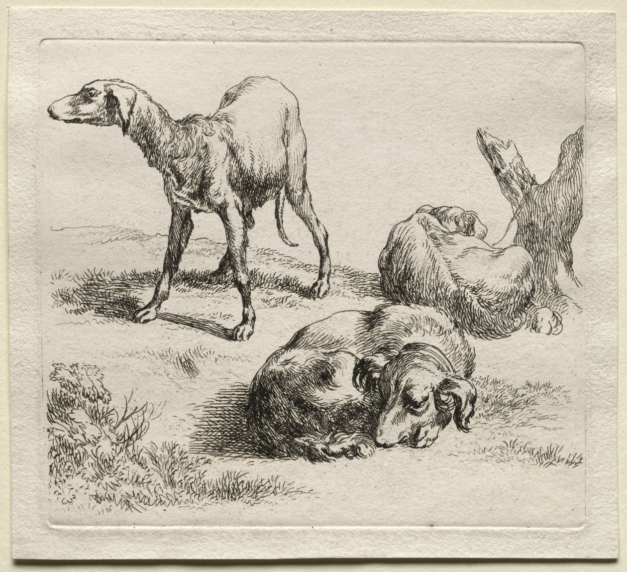 Animalia: Três cães de caça de Nicolaes Berchem