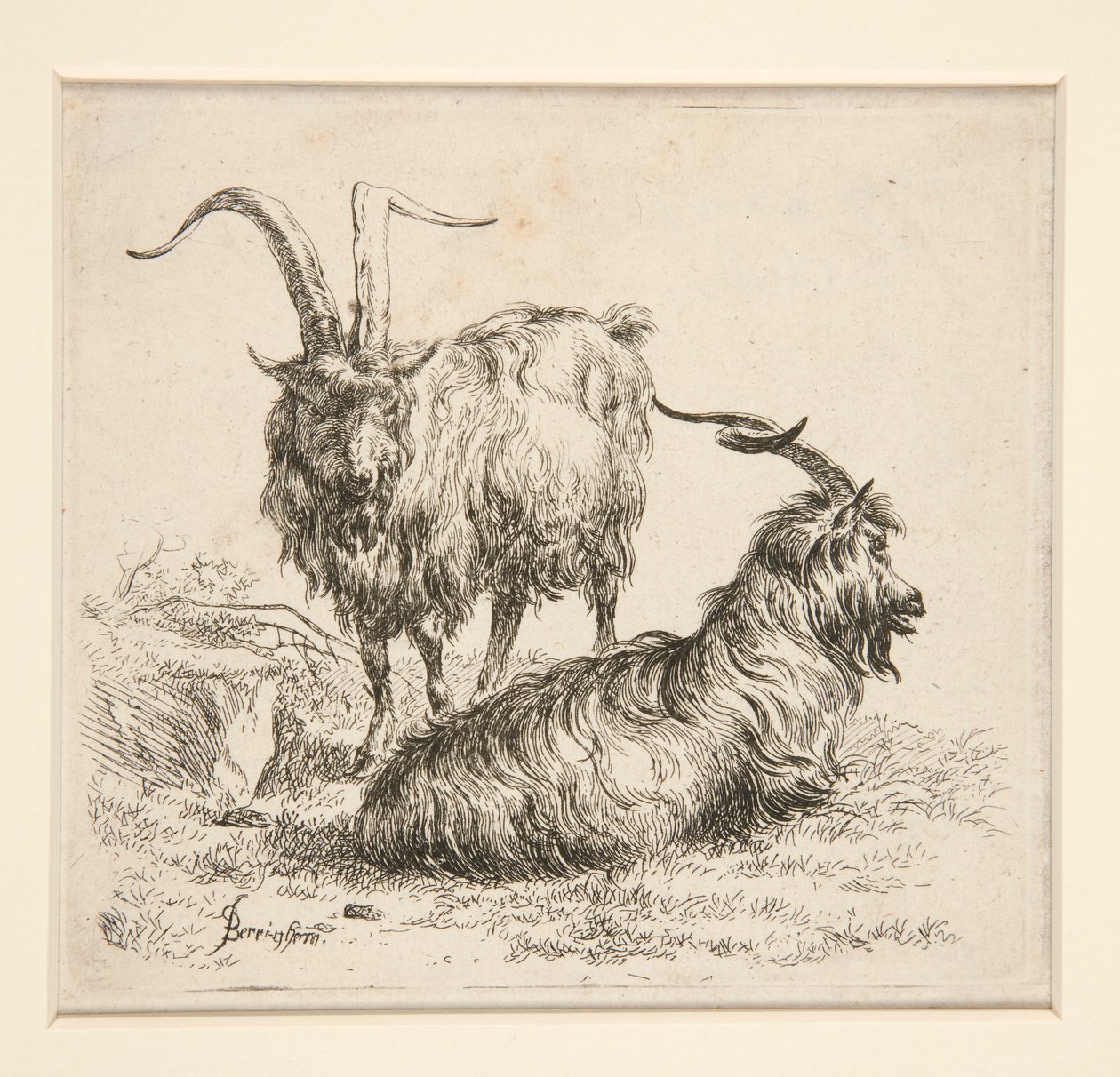 Cabras (de de Nicolaes Berchem