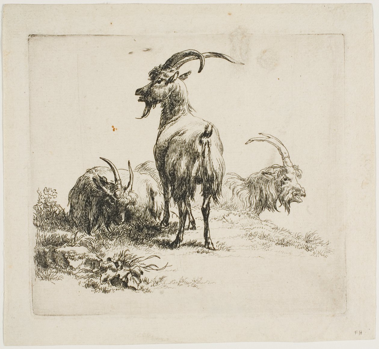 Cabras, de vários animais de Nicolaes Berchem