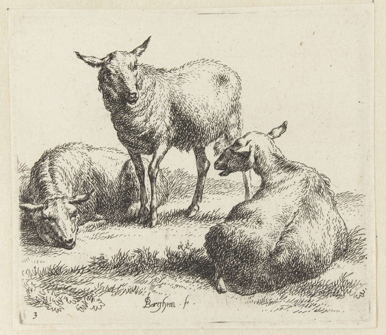 Seque as ovelhas Schapen (título da série) Animais desenhados à vida e impressos na água pelo ar forte pelo Studio and Art of Nicolai Berchem (título da série) de Nicolaes Pietersz Berchem
